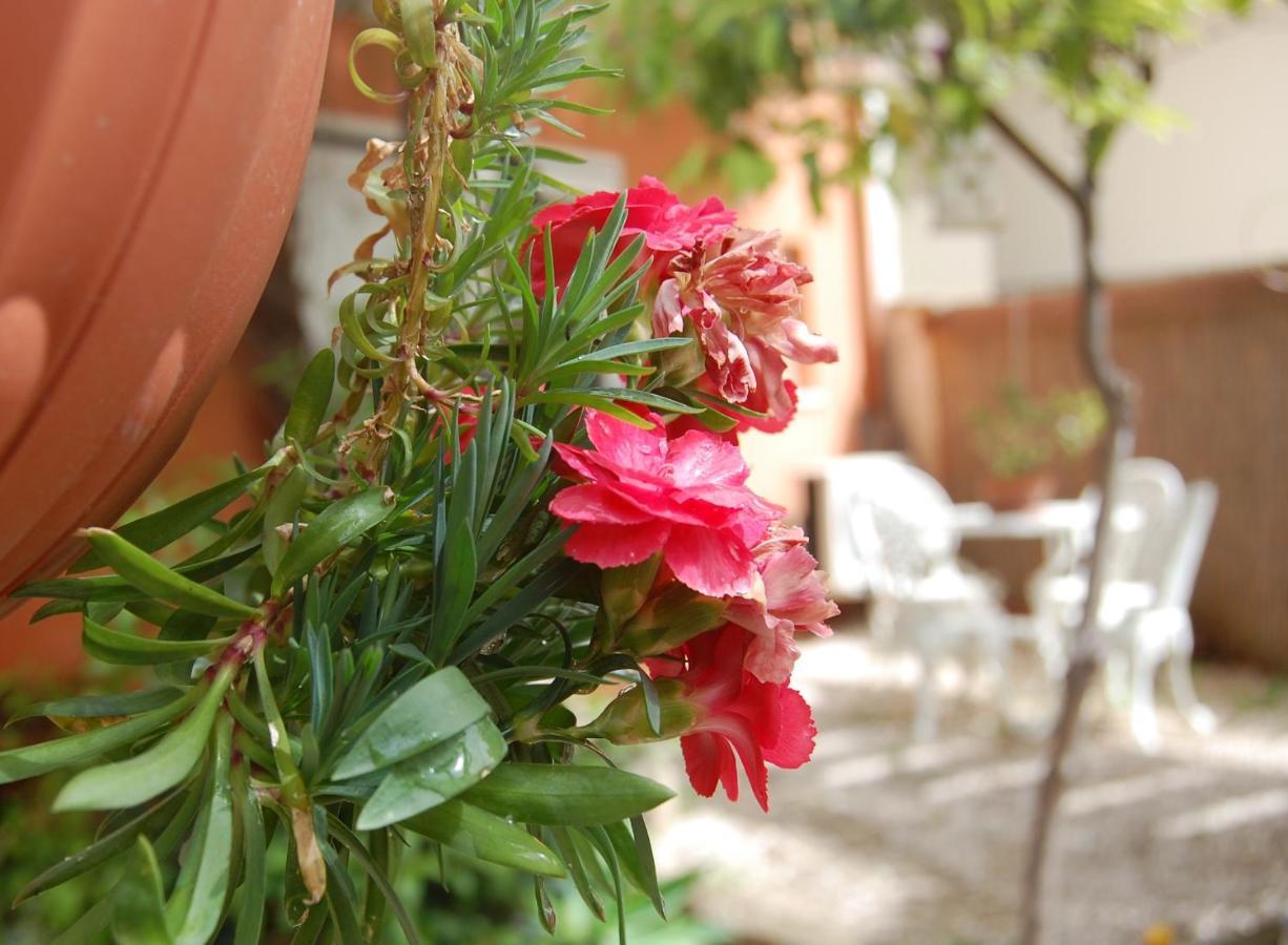 Casa Satta 1925 Hotel Olbia Eksteriør billede